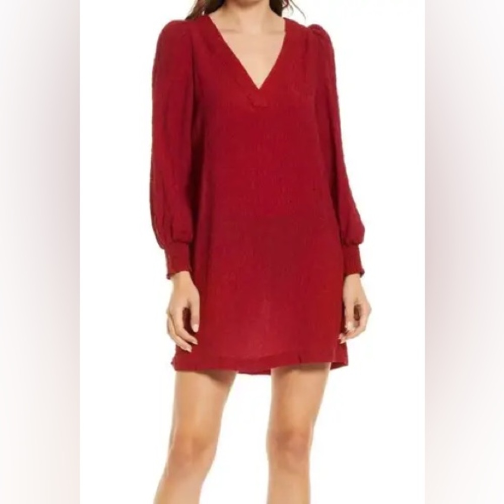 NWT BB Dakota Ruston Textured Mini Shift Dress